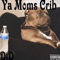 DTD - Ya Moms Crib (Explicit)