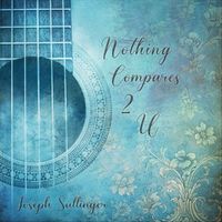 Joseph Sullinger - Nothing Compares 2 U (Instrumental)