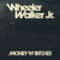 Wheeler Walker Jr. - Money 'N' Bitches (Explicit)