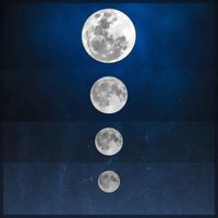 Shawn Williams - The moon, it rises