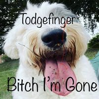 Todgefinger - Bitch I’m Gone (Explicit)