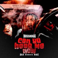 Boss Hogg - Can You Hear Me Now (Explicit)
