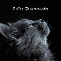 Cat Music - Feline Dreamcatcher