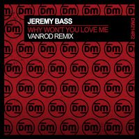 Jeremy Bass - Why Won't You Love Me (Vanrod Remix)