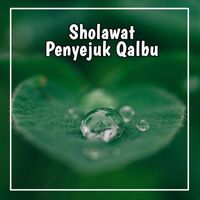 Cool Project - Sholawat Penyejuk Qalbu