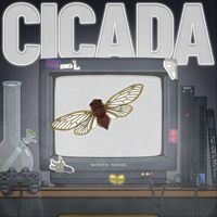 White Noise - CICADA (Explicit)