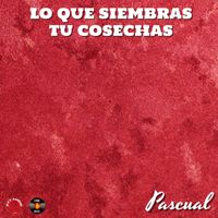 Pascual - Lo Que Siembras Tu Cosechas (Explicit)