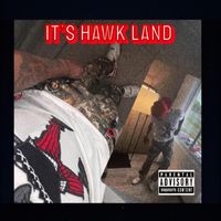 Tony Hawk - Its Hawk Land (Explicit)