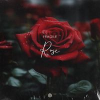 Fragile - Rose