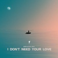 Brucelee - I Don't Need Your Love