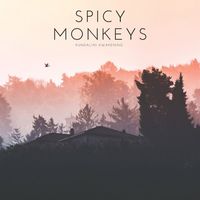 Spicy Monkeys - Kundalini Awakening