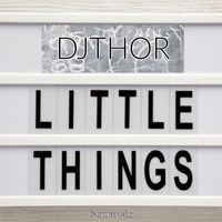 D.J. Thor - Little Things