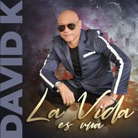 David K - La Vida Es Una