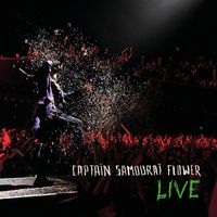 Pascal Obispo - Captain Samouraï Flower (Live)
