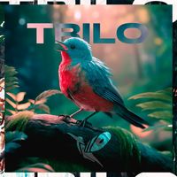 TRILO - Trilo