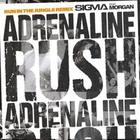 Sigma - Adrenaline Rush (Run In The Jungle Remix)