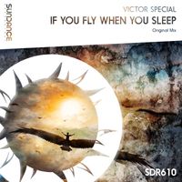 Victor Special - If You Fly When You Sleep