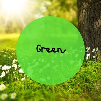 Various Artists - Green