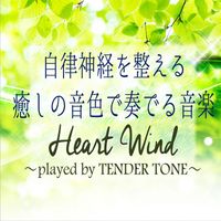 Junichi Kamiyama J.Project - The Music played with soothing tones that regulate the autonomic nervous system ''Heart Wind'' Played by Tender Tone