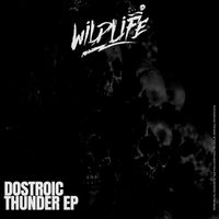 Dostroic - Thunder EP