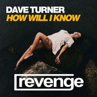 Dave Turner - How Will I Know