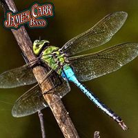 James Carr Band - Dragonfly
