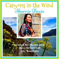 Sherrie Davis - Canyons in the Wind
