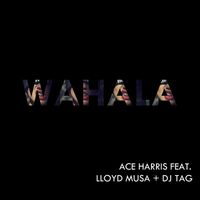 Ace Harris - Wahala (feat. Lloyd Musa & DJ Tag)