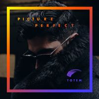 TOTEM - Picture Perfect