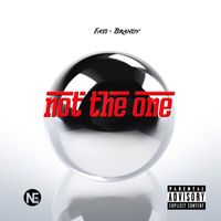 Fats - Not The One (feat. Brandy) (Explicit)