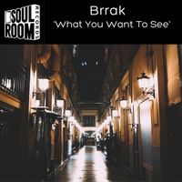 Brrak - What You Want to See