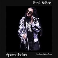 Apache Indian - Birds and Bees