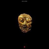 Relly Snow - Gold/Fortune (Explicit)