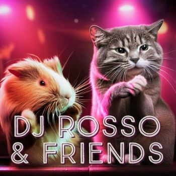 Various Artists - DJ Rosso & Friends