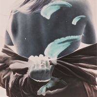TOTEM - Shadows