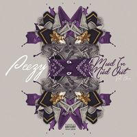 Peezy - Mud In Mud Out Vol 1 (Explicit)