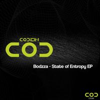 Bodzza - State of Entropy EP