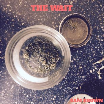 Sam Brown - The Wait (Explicit)