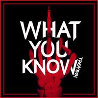Troyboi - What You Know (Explicit)