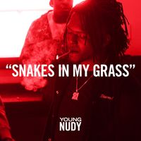 Young Nudy - Snakes In My Grass (Explicit)