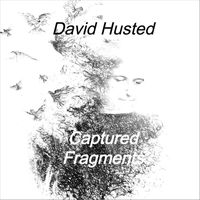 David Husted - Captured Fragments