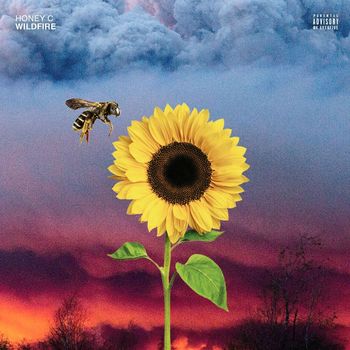 Honey C - Wildfire (Explicit)