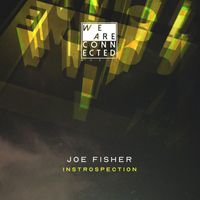 Joe Fisher - Introspection
