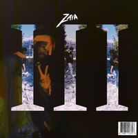 Zaia - While We Wait