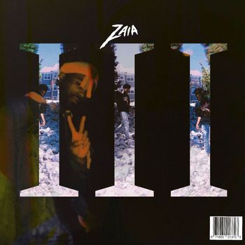 Zaia - While We Wait