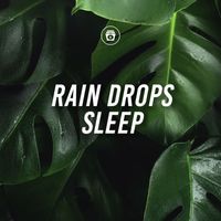 ASMR - Rain Drops Sleep