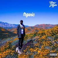 Casey Veggies - Organic (Explicit)