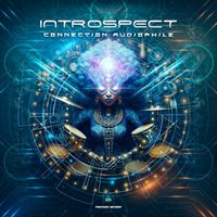 Introspect - Connection Audiophile