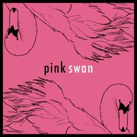Pink Swan - Feathers in Time