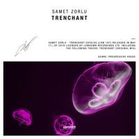 Samet Zorlu - Trenchant